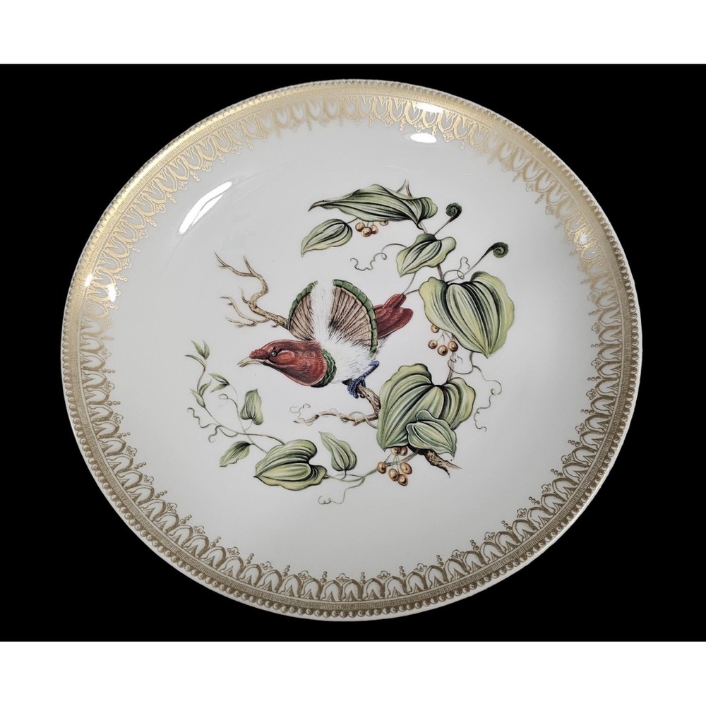Vintage Mottahedeh Bird of Paradise Porcelain Plate 8 Inch Discontinued Rare